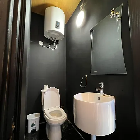 Luxurious Penthouse In Apartment